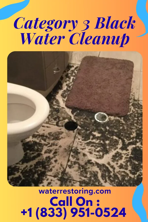 Category 3 Black Water Cleanup in Kingsley, IA