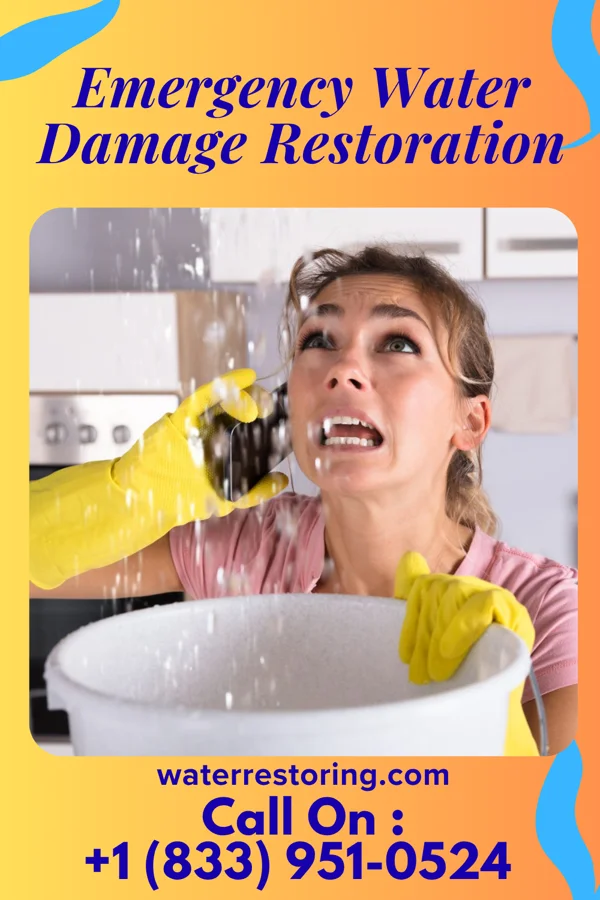Emergency Water Damage Restoration in Kingsley, IA