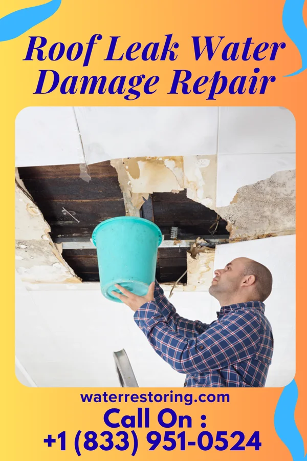 Roof Leak Water Damage Repair in Kingsley, IA